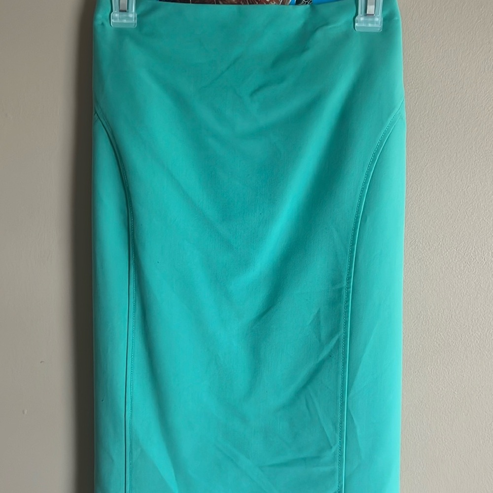 Worthington Mint Skirt, 16W